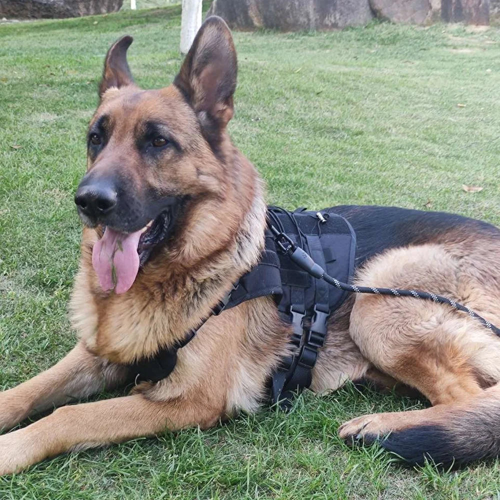 Custom Dog Harness Personalized Tactical Vest DIY Name Pet Harness for Medium Large Big Dog Chest Strap