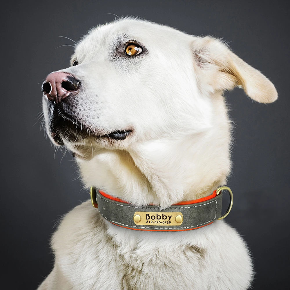 Custom PU Leather Dog Collar Free Engraving Dog Collars Adjustable Pet Pitbull Necklace Soft Padded for Small Medium Large Dogs