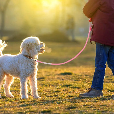 Fashion Rhinestone Dog Leash Pet Bling Shiny Cat Puppy Walking Leashes Lead for Small Dogs Cats Chihuahau Yorkshire Teddy 120cm