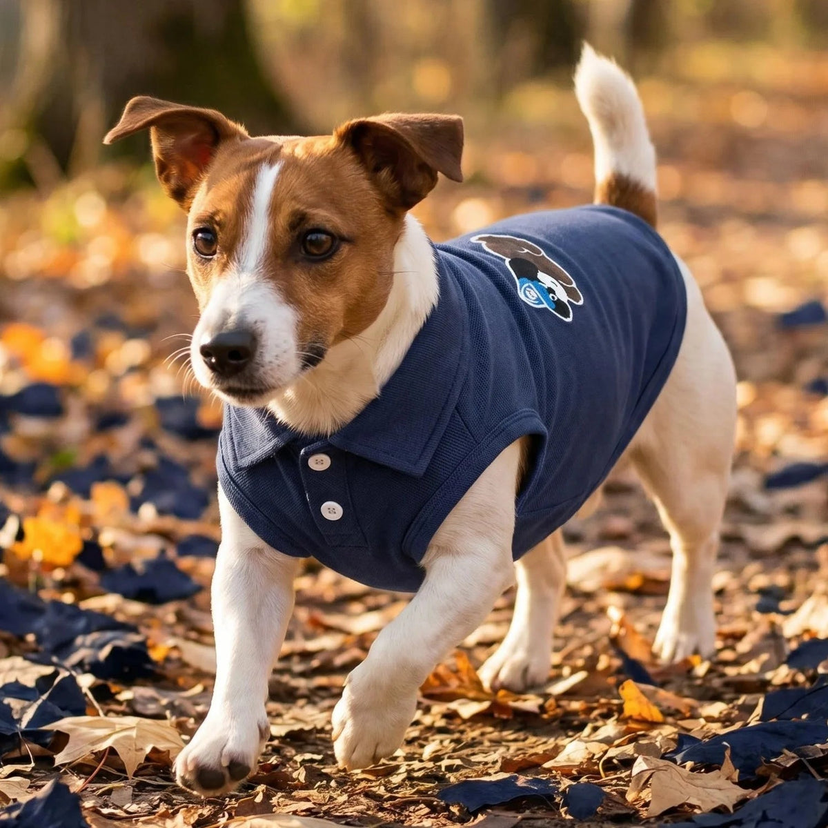Fashion Embroidered Dog Polo Shirt Breathable Sleeveless Pet Clothing For Small Breeds Outdoor Walking Pet Outfit PawPrint Treasures
