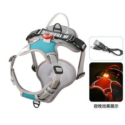 USB charged light Dog Harness Personalized dog strap vest Breathable adjustable pet strap suitable for small to medium sized dog