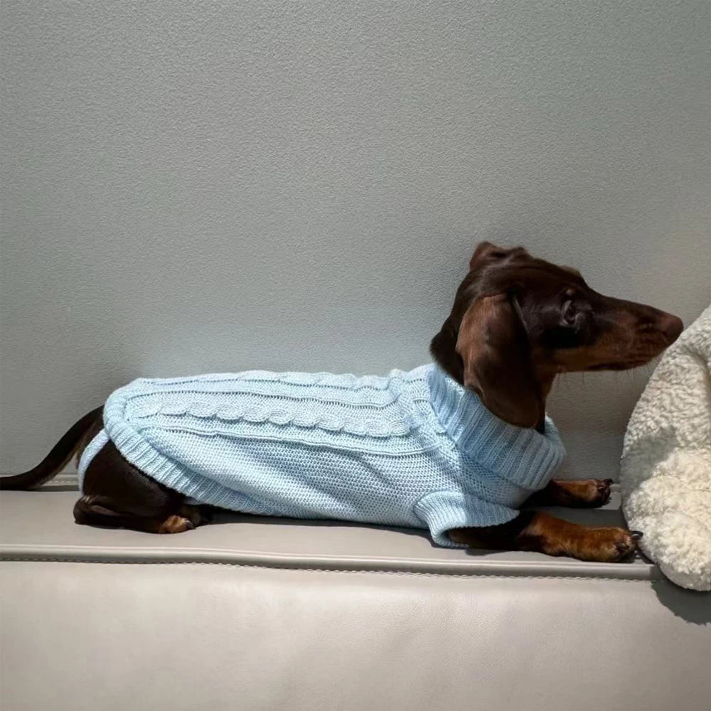 Elegant WarmTurtleneck Sweater for Miniaturedachshund Soft Knitted Sweater for Wiener Dogs Solid Color Sweatshirt for Badger Dog