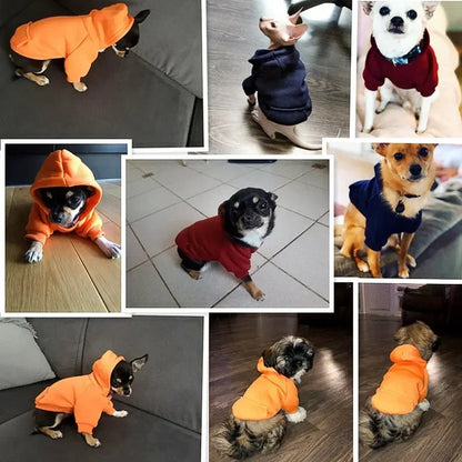 Pet Dog Clothes For Small Dogs Clothing Warm Clothing for Dogs Coat Puppy Outfit Pet Clothes for Large Dog Hoodies Chihuahua PawPrint Treasures