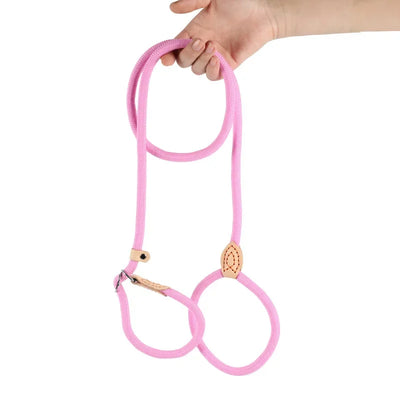 Dog Walking Leash Slip Rope Lead Leash Heavy Duty Braided Rope Adjustable Loop Collar Training Leashes for Large Dogs