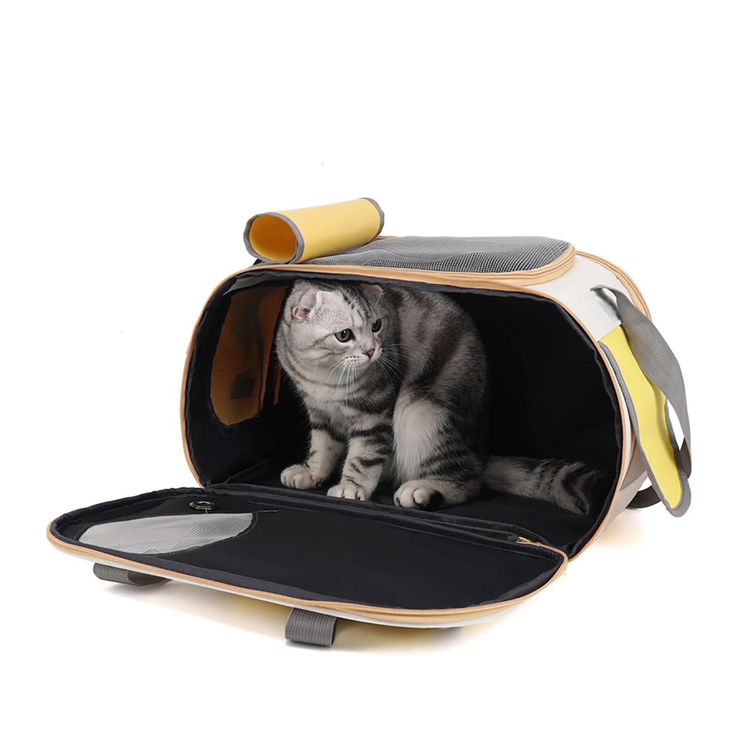 Foldable Airline Approved Pet Carrier Bag for Small Dogs Cats Rabbits Puppies - Durable Oxford Fabric Travel Tote with Ventilati