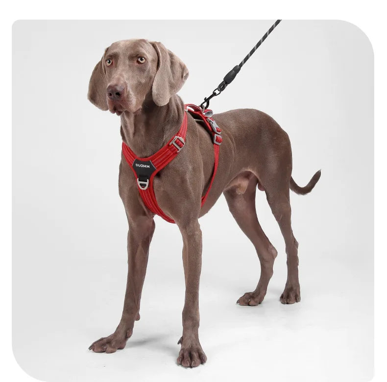 Dog Leash Anti-Pull Pet Harness Comfortable Outdoor Dog Leash Reflective Dog Harness Durable and Stain-Resistant