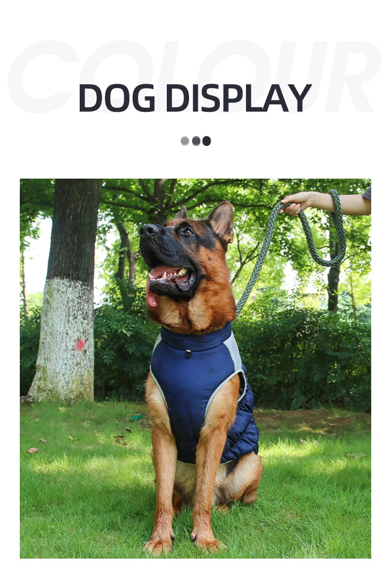 Winter Clothes for Dogs Windproof Cotton Clothing for Pets Rainproof Large Dogs Coat Reflective Overall Dog Leash Pet Clothing