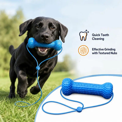Dual-Action Canine Dental Prop Reusable Dental Chews For Dogs Interactive Dog Dental Chew Toy For Teeth Cleaning Brushing