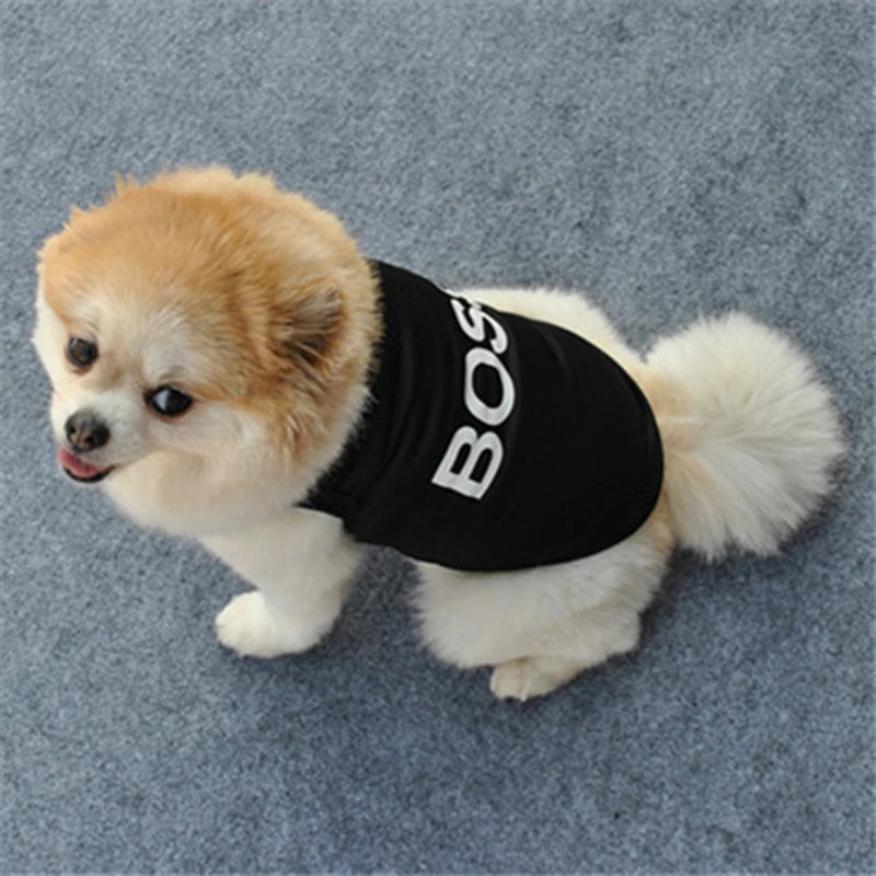 Security Clothing for Dogs Summer Pet Clothes Vest for Small Dogs Chihuahua Yorkshire Puppy Cats Low Price Pets T-shirt Costume PawPrint Treasures