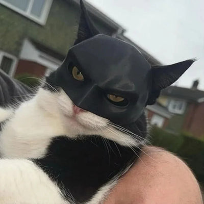 Cat Avenger Mask Bat Halloween 3D Printed Cosplay Hat Cat  Funny Toys Photos Props Pet Accessories