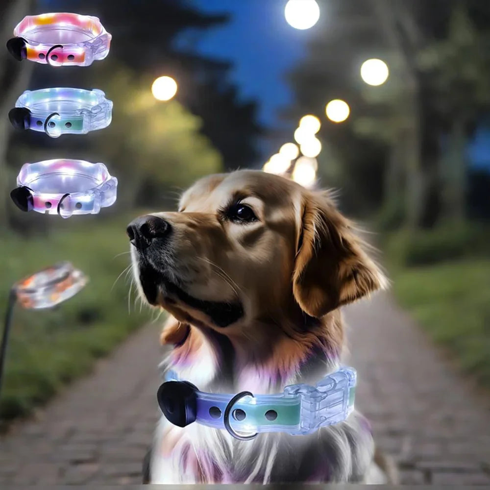 Pet Light-up Collar Leash LED Flashing Collar USB Charging Dog Walking Pulling Belt Adjustable Dog Collar Anti-Lost Pet Supplies