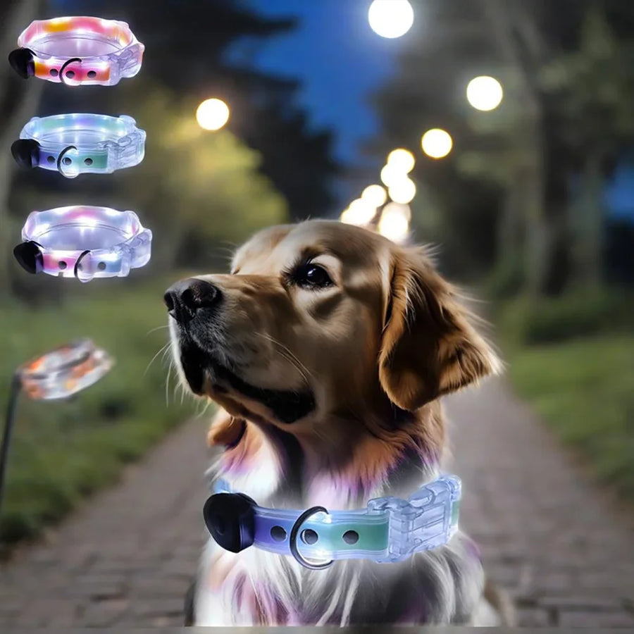 Pet Light-up Collar Leash LED Flashing Collar USB Charging Dog Walking Pulling Belt Adjustable Dog Collar Anti-Lost Pet Supplies