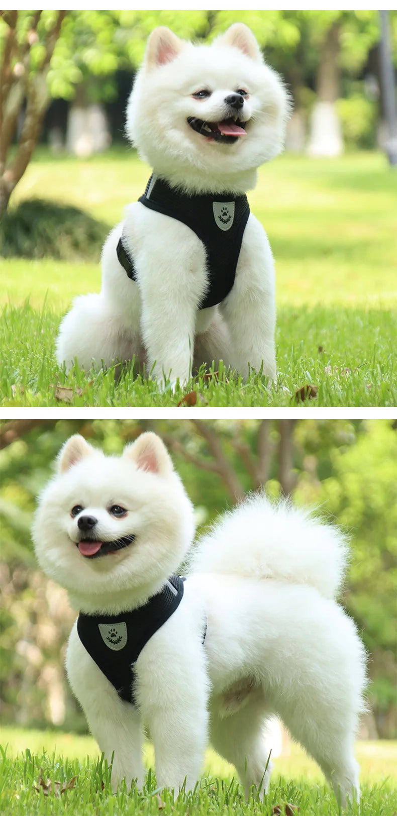 Small Dog Harness and Leash Set Summer Puppy Breathable Mesh Reflective Cat No Pull  Dog Reflective  Adjustable Pet Vest Style