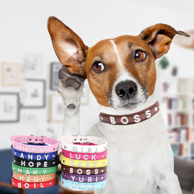 Personalized Dog Collar Fashion Bling Rhinestone Pet Free Diy Name Dog Necklace Custome Leather Dog Collars Pet Dog Accessories
