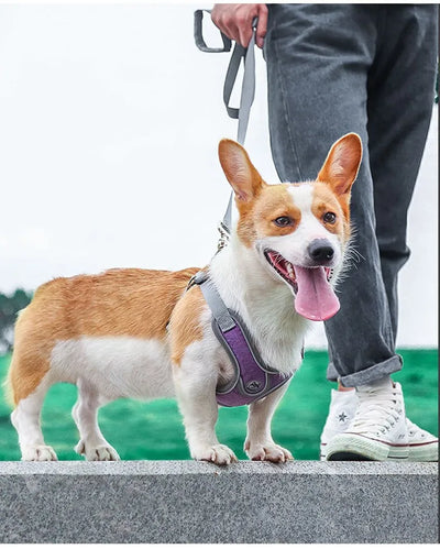 Dog Harness Adjustable Pet Harness Vest For Small Large Dog Cat Reflective Mesh Puppy Cat Chest Strap Dog Accessories