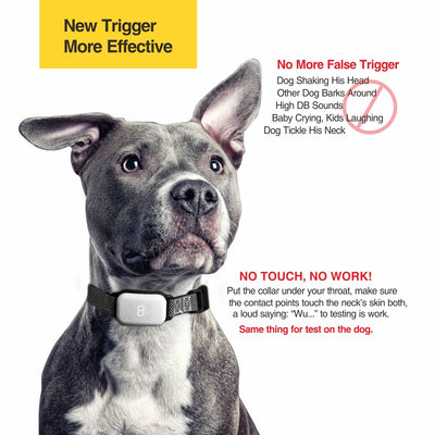 Small Dog Auto Bark Collar, Rechargeable Dog Electric Collar Anti-Bark Control for Puppy with Shock Mode