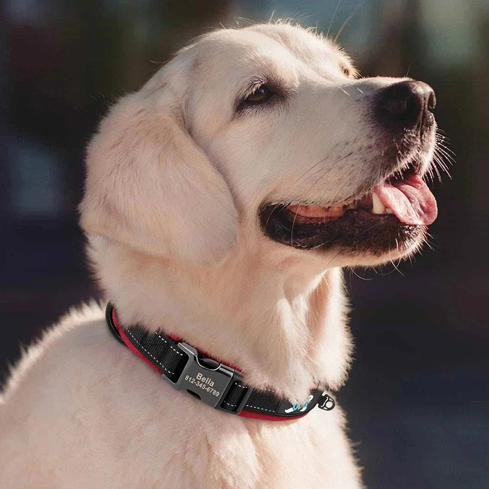 Adjustable Mesh Padded Pet Dog Collar Custom ID Engraving Reflective Nylon Dog Collar Durable Heavy Duty for All Breed All Pug