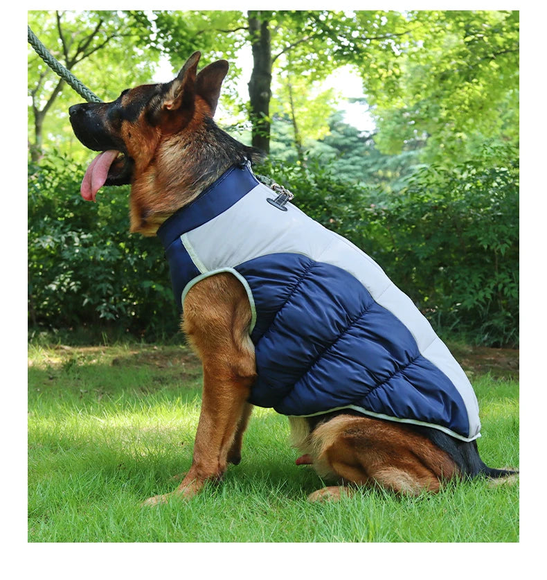 Winter Clothes for Dogs Windproof Cotton Clothing for Pets Rainproof Large Dogs Coat Reflective Overall Dog Leash Pet Clothing