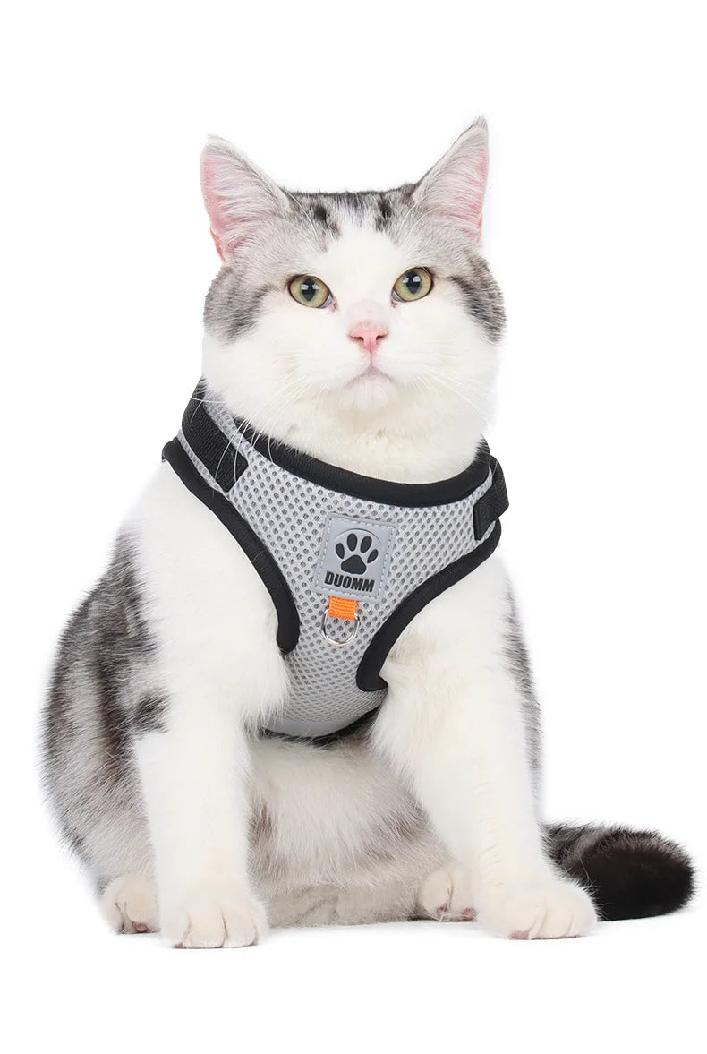 Puppy Dog Harness Leash Rope Set Breathable Summer Mesh Cat Dogs Harness Vest Reflective Pet Cat Chest Straps Chihuahua Yorkies