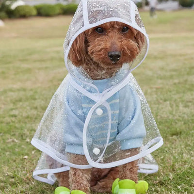 Pet Raincoat Dog Raincoat Transparent Snap Button Hooded Windproof Soft Outdoor Dog Rainwear Rain Cape Dog Supplies