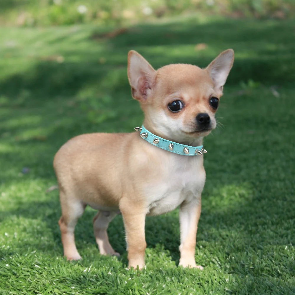 Spiked Dog Collar for Small Breed Dogs One Row Studded Leather Pet Collar Anti-Bite Neck Strap for Puppies Adjustable Cat Collar