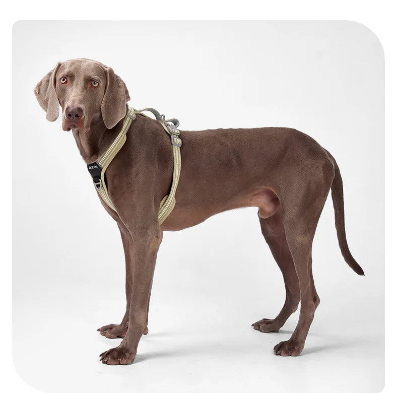 Dog Leash Anti-Pull Pet Harness Comfortable Outdoor Dog Leash Reflective Dog Harness Durable and Stain-Resistant
