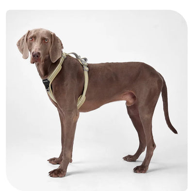 Dog Leash Anti-Pull Pet Harness Comfortable Outdoor Dog Leash Reflective Dog Harness Durable and Stain-Resistant