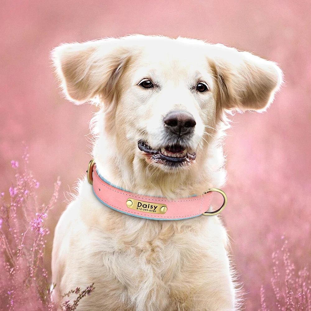 Custom Leather Dog Collar Soft Padded Dog Collars Personalized Pet ID Necklace Free Engraved Name Paw For Small Medium Dogs Pug