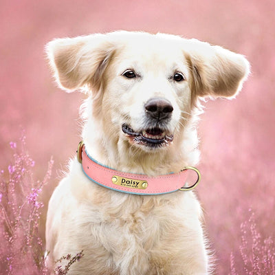 Custom Leather Dog Collar Soft Padded Dog Collars Personalized Pet ID Necklace Free Engraved Name Paw For Small Medium Dogs Pug
