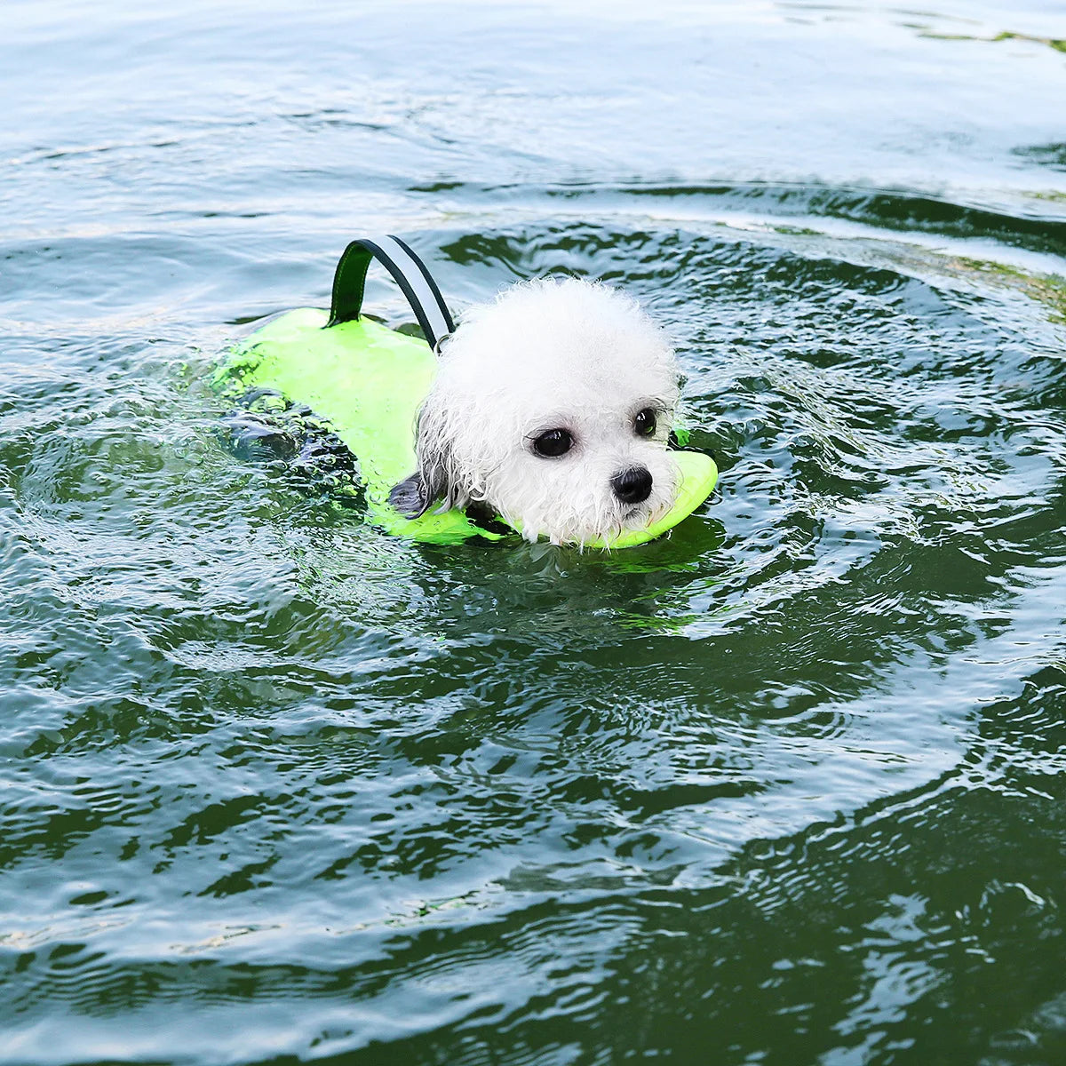 Pet Swimming Dog Training Swimming Tank Top Cat Dog Four Seasons Universal Tank Top Drawable Life Jacket Puppy Clothes