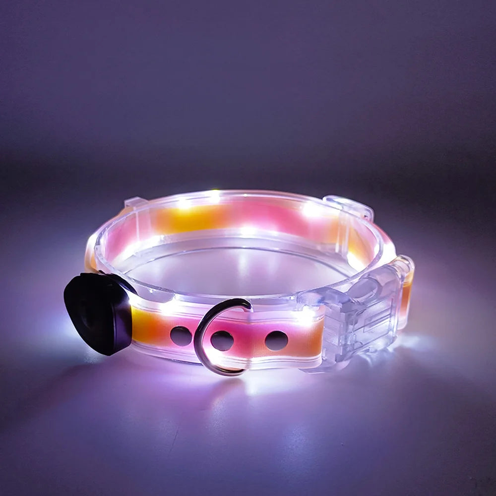 Pet Light-up Collar Leash LED Flashing Collar USB Charging Dog Walking Pulling Belt Adjustable Dog Collar Anti-Lost Pet Supplies