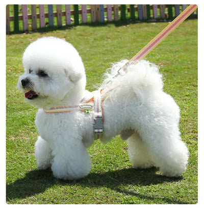 Dog Harness Collar Accessories Small Pet Neck Belt Lead Leash for Small  Dogs Collars  Breast Strap Puppy Adjustable Walking