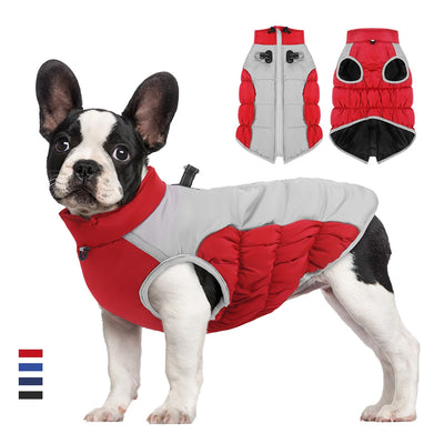 Winter Clothes for Dogs Windproof Cotton Clothing for Pets Rainproof Large Dogs Coat Reflective Overall Dog Leash Pet Clothing