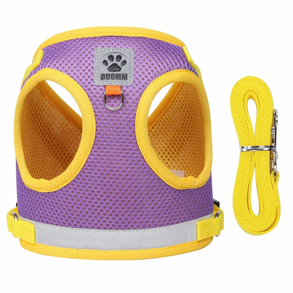 Puppy Dog Harness Leash Rope Set Breathable Summer Mesh Cat Dogs Harness Vest Reflective Pet Cat Chest Straps Chihuahua Yorkies