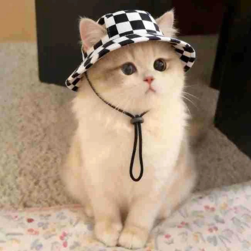 1Pcs S/M/L Cute Print Dog Hat for Small Medium Dogs Adjustable Pet Cap Puppy Pug Corgi Dachshund Hats Summer Out Pet Accessories