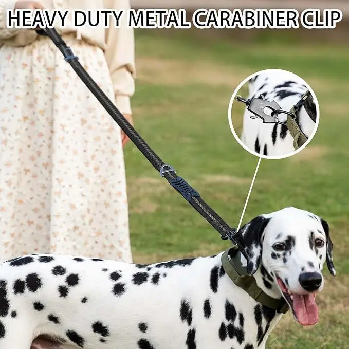 Reflective Shock Absorbing Pet Dog Leash with Car Seatbelt for Large Dogs Heavy Duty Tactical Bungee Dog Leash No Pull Dog Leash