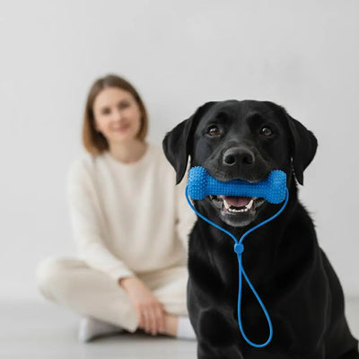 Dual-Action Canine Dental Prop Reusable Dental Chews For Dogs Interactive Dog Dental Chew Toy For Teeth Cleaning Brushing