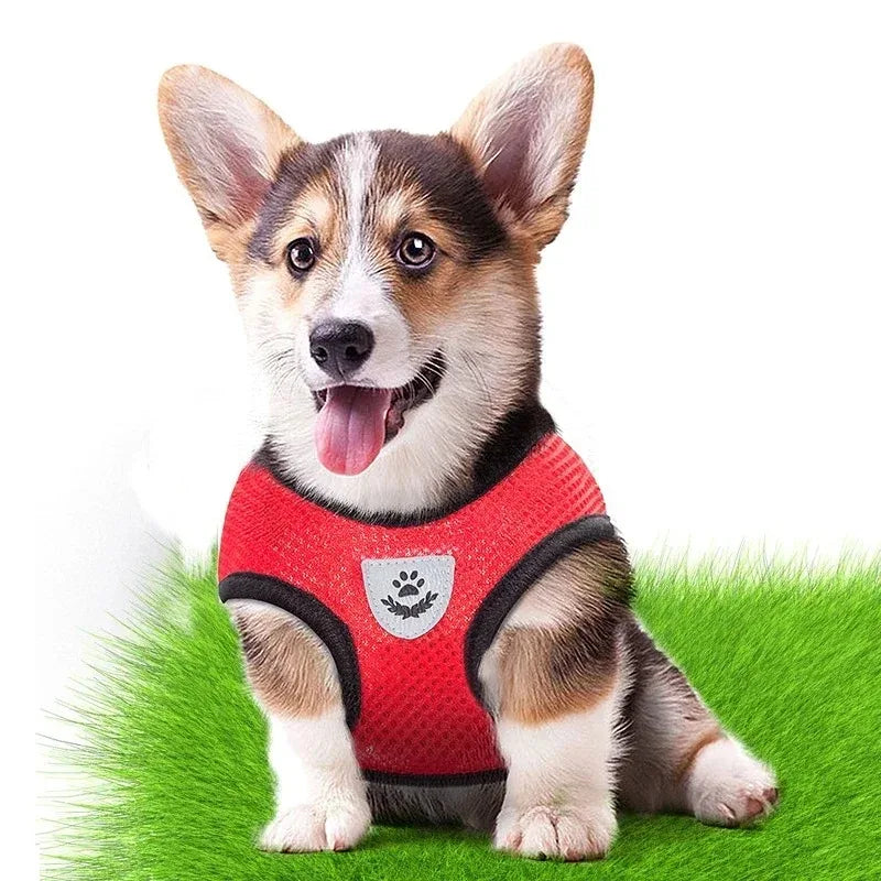 Cat Dog Harnesses Leash Mesh Cloth Pet Collars Puppy Breathable Reflective Lead Dog Rope Adjustable Pet Supplies Christmas Gift