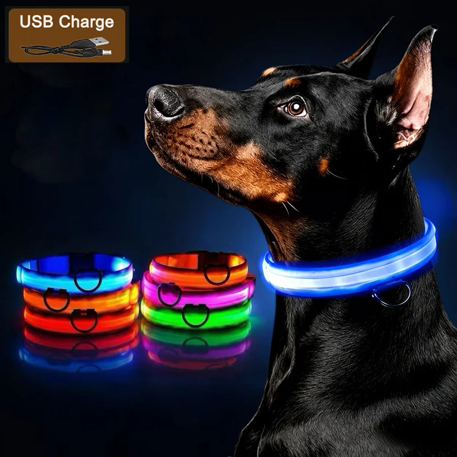3 Modes Dog Luminous Charge Collar Led Usb Cat Dogs Collars Detachable Night Led Glow Dog Loss Prevention Collar Pet Accessories