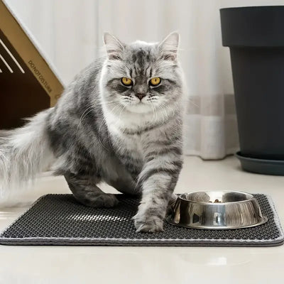 Double Layer Honeycomb Design Cat Litter Trapping Mat, Non-slip Washable Cat Cleaning Mat For Pet Toilet Kennel Litter Box