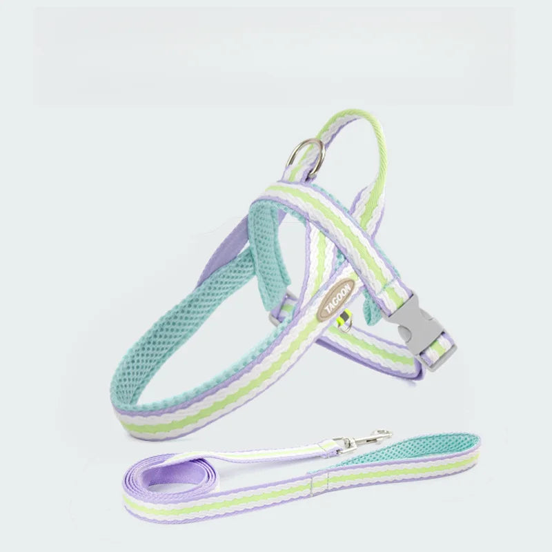 Dog Harness Collar Accessories Small Pet Neck Belt Lead Leash for Small  Dogs Collars  Breast Strap Puppy Adjustable Walking