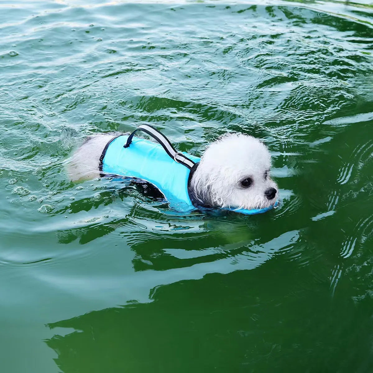 Pet Swimming Dog Training Swimming Tank Top Cat Dog Four Seasons Universal Tank Top Drawable Life Jacket Puppy Clothes