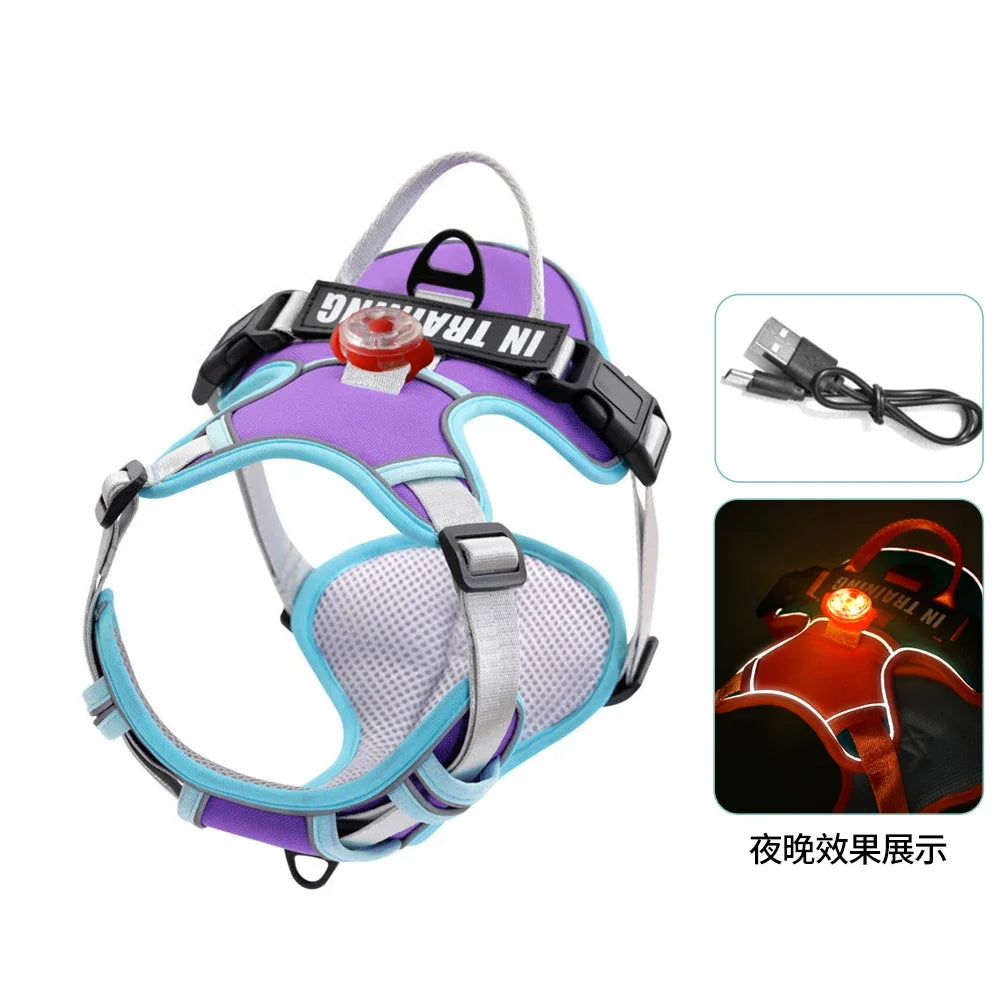 USB charged light Dog Harness Personalized dog strap vest Breathable adjustable pet strap suitable for small to medium sized dog