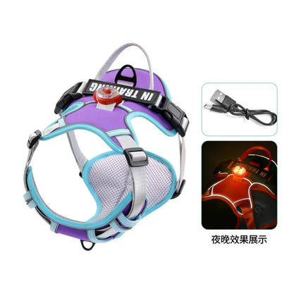 USB charged light Dog Harness Personalized dog strap vest Breathable adjustable pet strap suitable for small to medium sized dog