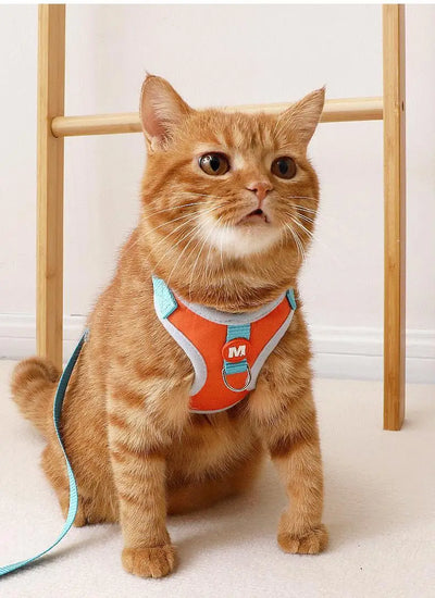 Cartoon Duck Dog Harness and Leash Set Adjustable Puppy Collar Strap Pet Cat Harness Vest for French Bulldog Walking Accessories