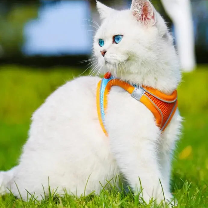 Reflective Pet Harness Dogs Strap with Leash Adjustable Harness Vest Breathable Collars for Chihuahua Small Large Dogs