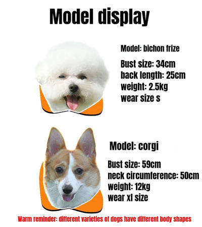 Dog Harness Collar Accessories Small Pet Neck Belt Lead Leash for Small  Dogs Collars  Breast Strap Puppy Adjustable Walking