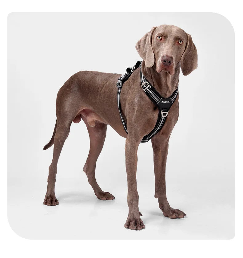 Dog Leash Anti-Pull Pet Harness Comfortable Outdoor Dog Leash Reflective Dog Harness Durable and Stain-Resistant
