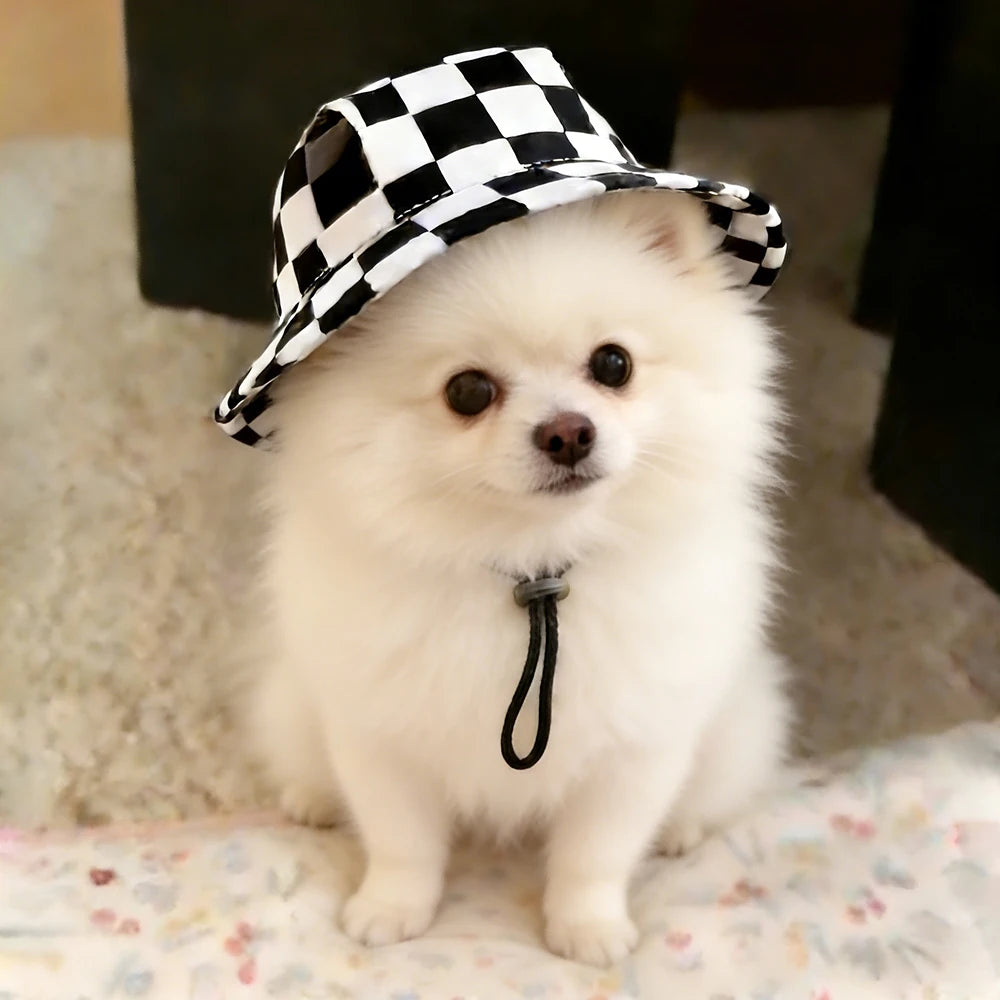 1Pcs S/M/L Cute Print Dog Hat for Small Medium Dogs Adjustable Pet Cap Puppy Pug Corgi Dachshund Hats Summer Out Pet Accessories