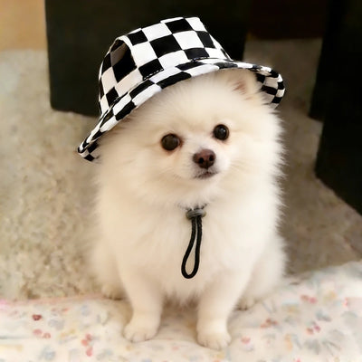 1Pcs S/M/L Cute Print Dog Hat for Small Medium Dogs Adjustable Pet Cap Puppy Pug Corgi Dachshund Hats Summer Out Pet Accessories